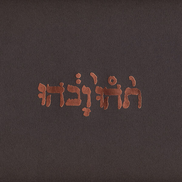 Cover art for Godspeed You! Black Emperor - Slow Riot for New Zerø Kanada E.P.