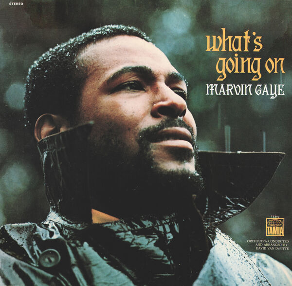 Cover art for Marvin Gaye - What's Going On