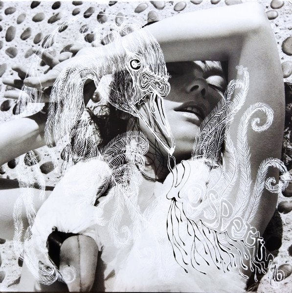 Cover art for Björk - Vespertine