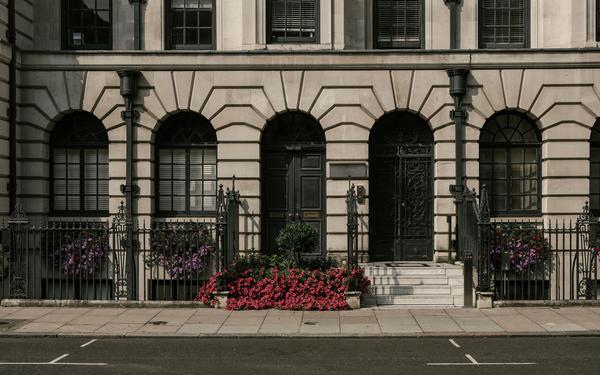 Flowers in Warren Street